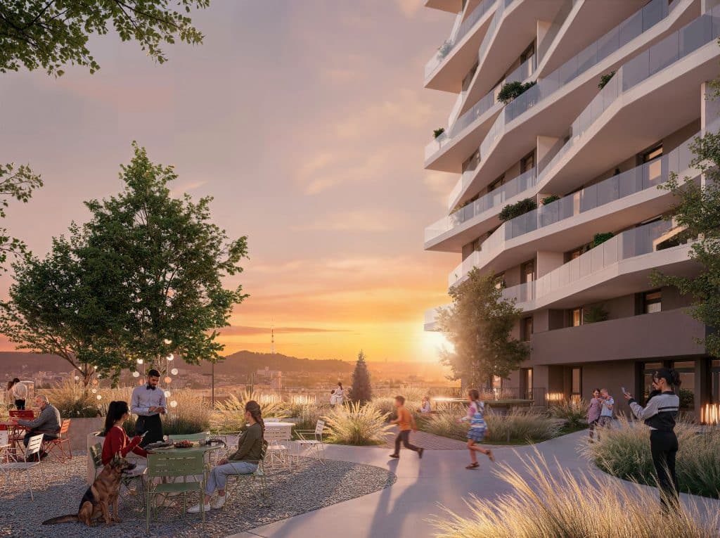 IMAGE 2026-02-25 12:49:42