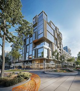 photo_5454279227071992117_y